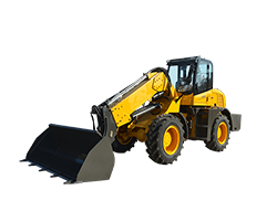 Telescopic Loader