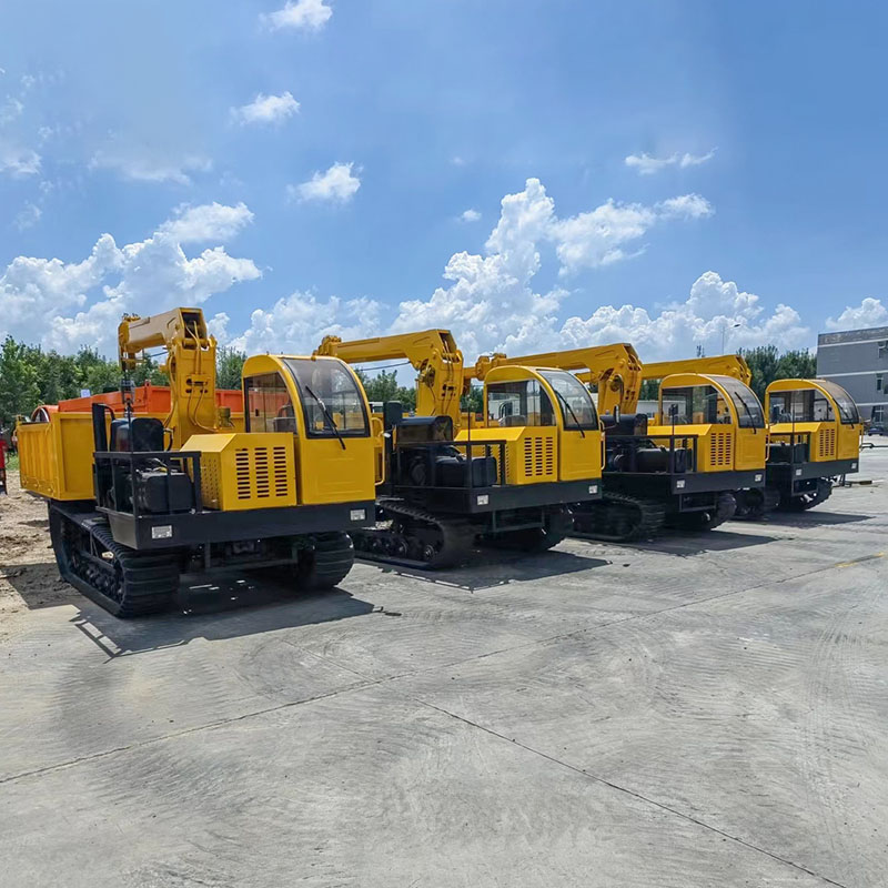  Crane Mounted on Tracked Dumper