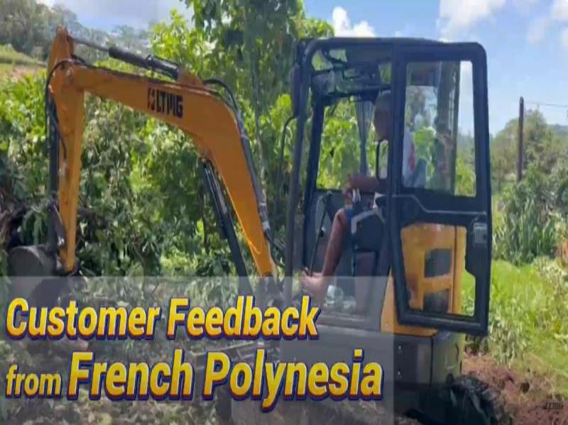 LTMG LTE35 3 Ton Mini Excavator Customer Feedback From French Polynesia