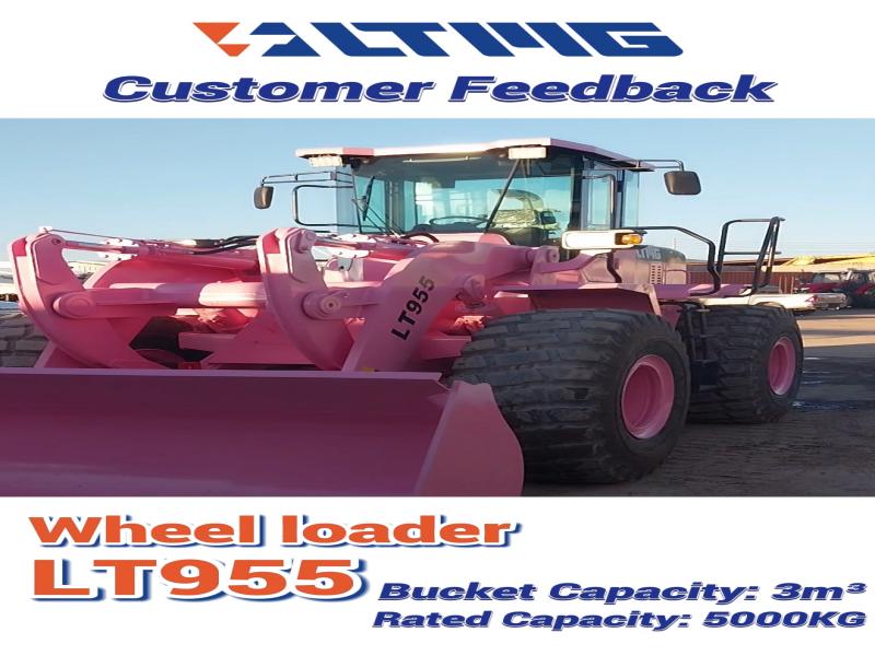 LTMG Customized Pink and Blue Wheel Loader