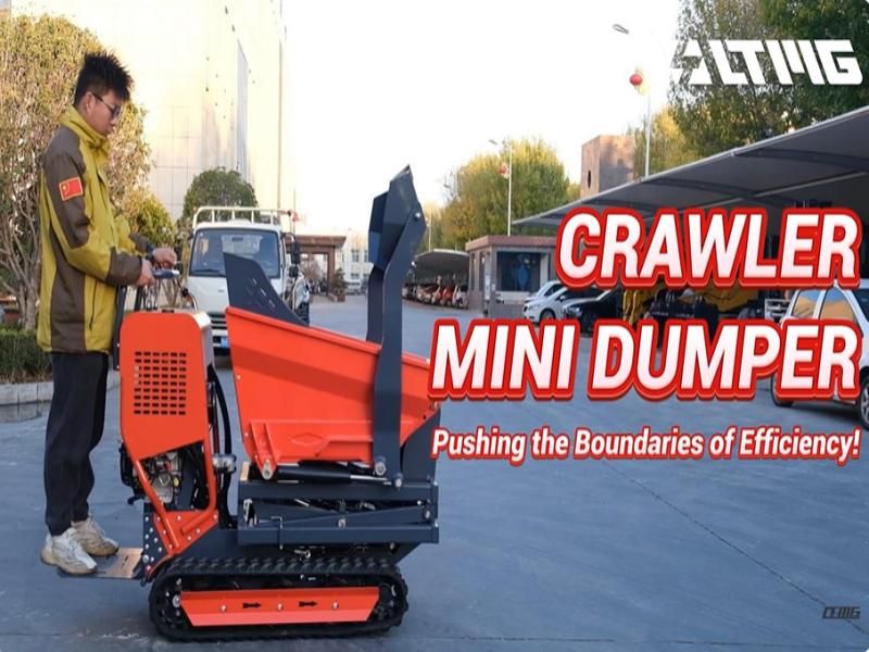 LTMG Mini Crawler Transporter Rubber Track Dumper for Farm