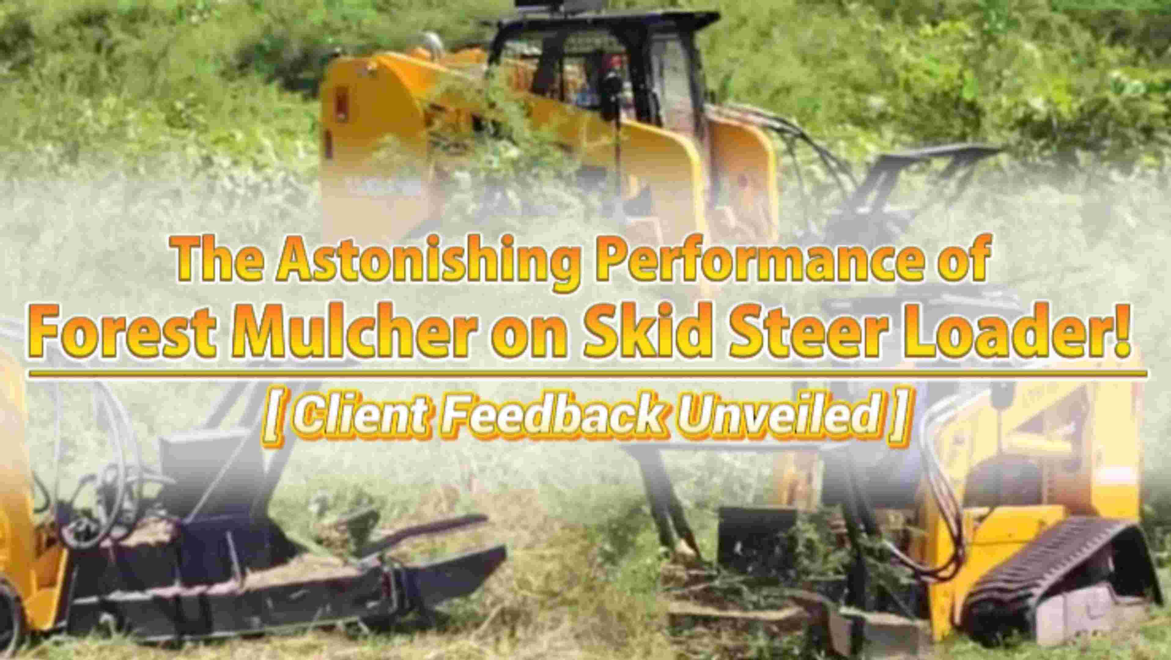 LTMG LTS125 skid steer loader with land clearer | real customer feedback