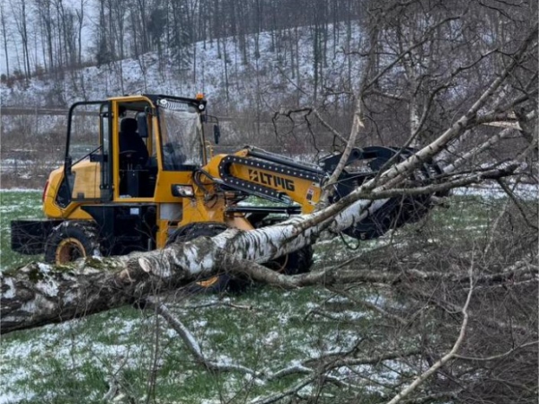 Switzerland - 2.5 Ton Telescopic Loader