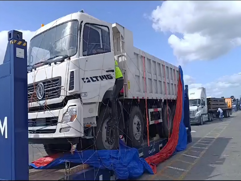 Export Case: Dominican Customer Received LMDT250 25Ton LTMG Dump Truck